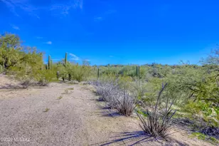 6200 N Calle de Ona, Tucson, AZ 85741 - Photo 36