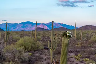 5730 N Tula Ln, Tucson, AZ 85743 - Photo 26