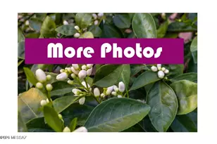 679 W Sunlight Ln, Tucson, AZ 85704 - Photo 32