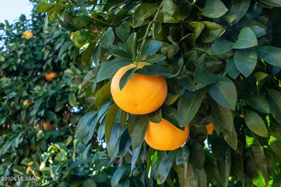 [Address not provided], Oro Valley, AZ 85737 - Photo 40