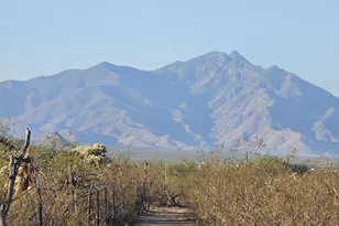 7081 Cactus Patch Way, Sahuarita, AZ 85629 - Photo 1