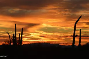 12593 N Summer Wind Dr, Marana, AZ 85658 - Photo 2