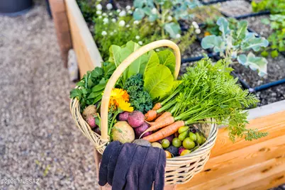 4419 E Water Street, Tucson, AZ 85712 - Photo 48