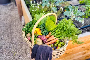 4419 E Water St, Tucson, AZ 85712 - Photo 48