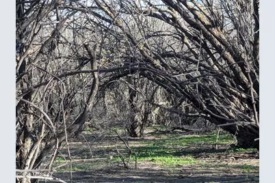 587 Arizona State Route Highway 80 #7, Saint David, AZ 85630 - Photo 6