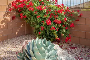 13212 N Stonecrop Ln, Oro Valley, AZ 85755 - Photo 26