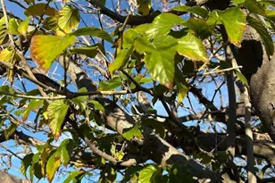 3644 W Vista Del Viejo, Bisbee, AZ 85603 - Photo 30