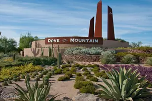 12554 N Gentle Rain Dr, Marana, AZ 85658 - Photo 34