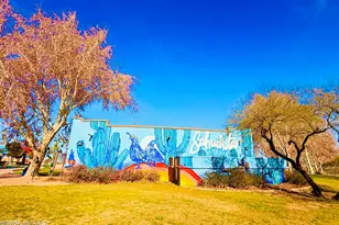 126 W Camino Rancho Viejo, Sahuarita, AZ 85629 - Photo 48