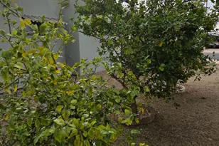 5756 W Flying M St, Tucson, AZ 85713 - Photo 20