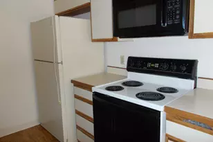 1668 W Park Wood Ln, Tucson, AZ 85746 - Photo 10