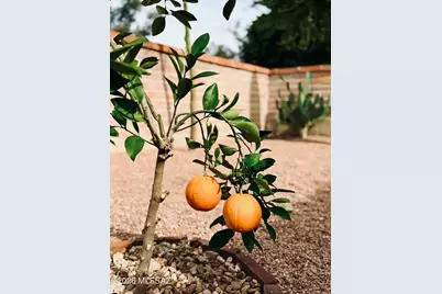 8449 N Via Tioga, Tucson, AZ 85704 - Photo 30