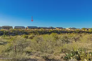 7737 S Indian Wheat Wy, Tucson, AZ 85747 - Photo 40