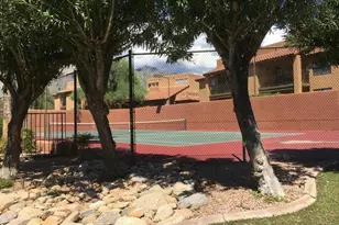 6651 N Campbell Ave, Tucson, AZ 85718 - Photo 32