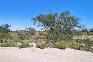 13521 Bruckner Ave, Tucson, AZ 85736 - Photo 1