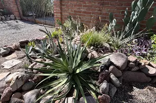 2347 Camino Esplendido, Tubac, AZ 85646 - Photo 40
