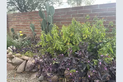 2347 Camino Esplendido, Tubac, AZ 85646 - Photo 30