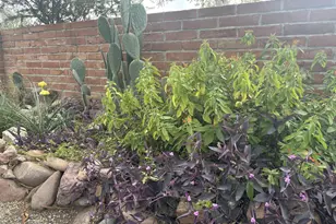 2347 Camino Esplendido, Tubac, AZ 85646 - Photo 30