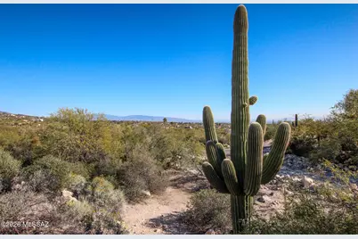 6901 N Columbus Boulevard, Tucson, AZ 85718 - Photo 26