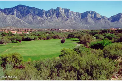 14582 N Alamo Canyon Drive, Oro Valley, AZ 85755 - Photo 40