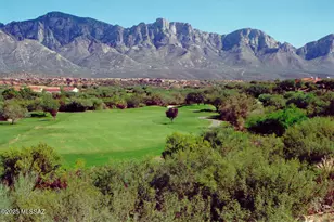 14582 N Alamo Canyon Dr, Oro Valley, AZ 85755 - Photo 40