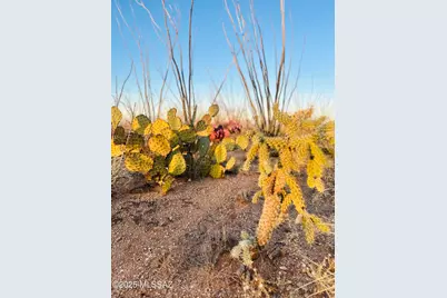 7377 Bucking Horse Road, Sahuarita, AZ 85629 - Photo 10