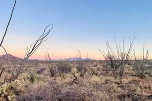 7377 Bucking Horse Rd, Sahuarita, AZ 85629 - Photo 1