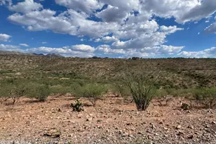 1854 Camino China, Rio Rico, AZ 85648 - Photo 1