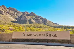 9801 N Ridge Shadow Pl, Tucson, AZ 85704 - Photo 32