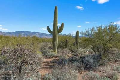 8293 Tumbling Y Ranch Place #142, Vail, AZ 85641 - Photo 8