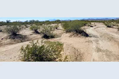 1491 Sandario Road, Tucson, AZ 85735 - Photo 10