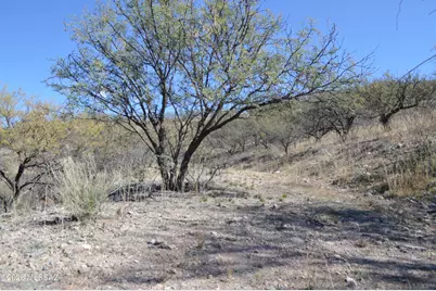 989 Bird Lane #9, Rio Rico, AZ 85648 - Photo 2