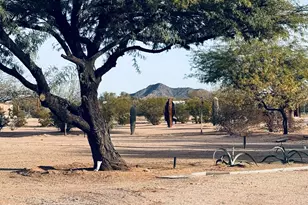 30239 E Little Crow Rd, Marana, AZ 85658 - Photo 34