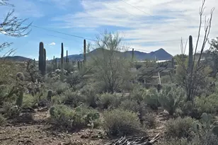 2626 N Grannen Rd, Tucson, AZ 85745 - Photo 44