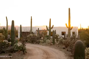 12175 W Dancing Raven Rd, Tucson, AZ 85743 - Photo 50