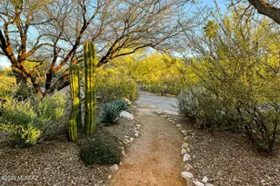 4577 N Placita De Las Chacras, Tucson, AZ 85718 - Photo 44