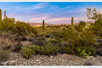 1712 N Coral Bells Drive, Tucson, AZ 85745 - Photo 40