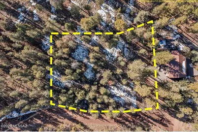 9 County Rd 2073 #-, Alpine, AZ 85920 - Photo 2