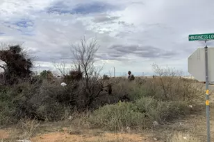 548 Business Loop, Bowie, AZ 85605 - Photo 1