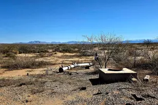 7668 Bear Track Trail, Willcox, AZ 85643 - Photo 1