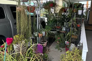 842 W Limberlost Dr, Tucson, AZ 85705 - Photo 6