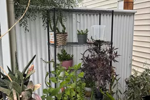 842 W Limberlost Dr, Tucson, AZ 85705 - Photo 10