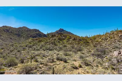 3879 W Cayton Mountain Drive #163, Marana, AZ 85658 - Photo 6