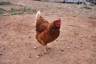 13126 S Brewery Gulch Rd, Pearce, AZ 85625 - Photo 26