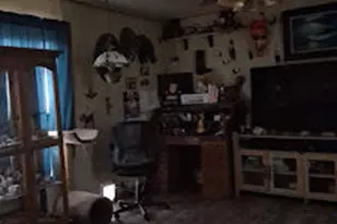 3336 N Rucker Canyon Rd, Elfrida, AZ 85610 - Photo 8