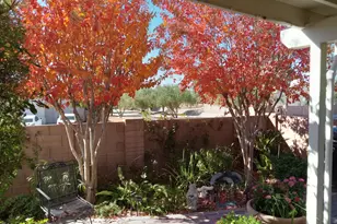 3394 W Crestone Ct, Tucson, AZ 85742 - Photo 46