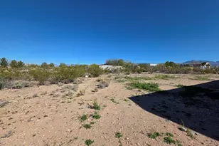 12730 S High Noon Trail, Vail, AZ 85641 - Photo 24
