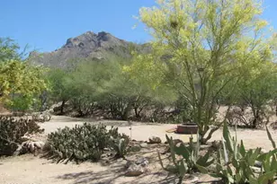 8300 N Mesquite Shadows Dr, Tucson, AZ 85704 - Photo 28