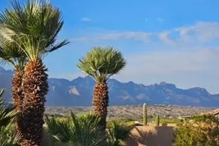 37939 S Boulder Ridge Dr, Tucson, AZ 85739 - Photo 46