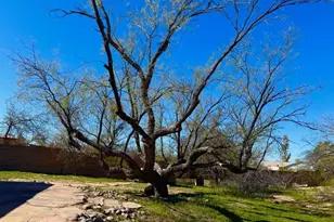 4231 N Bidahochi Dr, Tucson, AZ 85749 - Photo 44